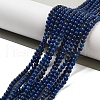 Dyed Natural Lapis Lazuli Beads Strands G-G143-A01-01-2