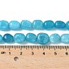 Dyed Natural Malaysia Jade Beads Strands G-P528-I14-01-2