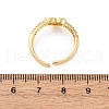 Brass Micro Pave Cubic Zirconia Shell Cuff Rings KK-D363-24B-G-3