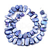 Natural Freshwater Shell Beads Strands X-SHEL-N026-123G-2