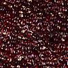 Picasso Spray Painted Glass Seed Beads SEED-T006-04-28-2