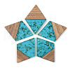 Transparent Resin & Walnut Wood Pendants X-RESI-S389-012A-B03-1