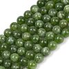 Dyed Natural Malaysia Jade Beads Strands G-G021-02C-13-2