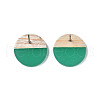 Transparent Resin & Wood Stud Earrings EJEW-N017-003A-D02-4