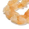 Rough Raw Natural Citrine Beads Strands G-K202-17B-6