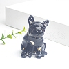 Resin Bulldog Display Decoration PW-WG40378-01-1