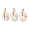Copper Wire Wrapped Natural Cowrie Shell Pendants PALLOY-JF03554-01-1
