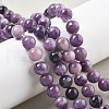 Natural Lepidolite/Purple Mica Stone Beads Strands G-M353-A01-10mm-5