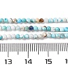Natural Howlite Beads Strands G-C025-02A-07-5