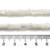 Natural Trochid Shell/Trochus Shell Beads Strands BSHE-G038-03-5
