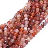 Natural Red Botswana Agate Beads Strands G-O201A-03B-1