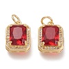 Brass Glass Charms ZIRC-F116-09A-G-1