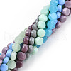 Glass Beads Strands GLAA-N052-05B-2