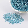 11/0 Two Cut Glass Seed Beads X-CSDB23-1