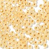 6/0 Glass Seed Beads SEED-Z001-B-E21-3