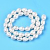 Natural Cultured Freshwater Pearl Beads Strands PEAR-N012-07U-3