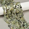 Prehnite Chip Bead Strands G-M205-11-2