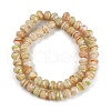 Handmade Lampwork Beads Strands LAMP-T007-13J-2