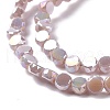 Electroplate Glass Beads Strands GLAA-E036-03B-4
