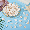 Beadthoven DIY Natural Shell Jewelry Making Finding Kits DIY-BT0001-37-16