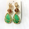 Alloy Resin Dangle Stud Earrings FS-WGDF595-01-1