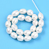 Natural Cultured Freshwater Pearl Beads Strands PEAR-N012-07W-01-2
