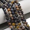 Natural Sodalite Beads Strands G-F591-13B-3