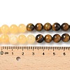Chakra Natural Red Jasper & Yellow Jade & Green Aventurine & Tiger Eye & Sodalite & Amethyst Beads Strands G-NH0002-E02-8mm-6