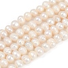 Natural Cultured Freshwater Pearl Beads Strands PEAR-I007-07X-10D-2