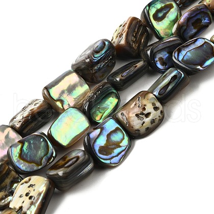 Natural Abalone Shell/Paua Shell Beads Strands BSHE-D300-01A-1