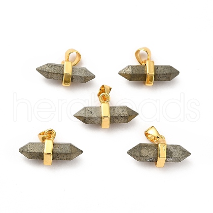 Natural Pyrite Double Terminal Pointed Pendants G-P481-01G-03-1