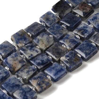 Natural Blue Spot Jasper Beads Strands G-L596-A07-01-1