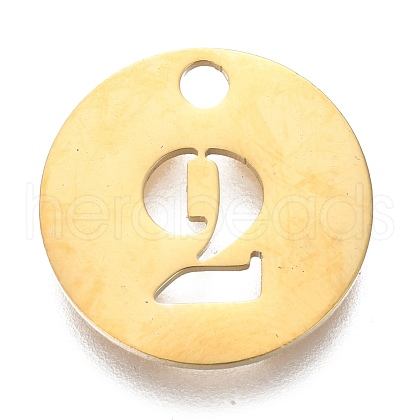 304 Stainless Steel Pendants STAS-F233-02-G-1