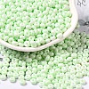 Baking Paint Glass Seed Beads X1-SEED-B001-02A-11-1