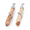 Natural Picture Jasper Big Pointed Pendants G-F696-B02-2