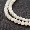 Natural White Shell Beads Strands X-G-G680-54-3
