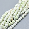 Natural Australian Turquoise(Jasper) Beads Strands G-D0010-06A-4mm-1