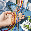8 Strands 8 Colors Electroplate Transparent Glass Beads Strands EGLA-TA0001-37-14
