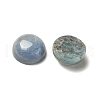 Natural Kyanite/Cyanite/Disthene Cabochons G-B146-03-8mm-2