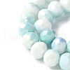 Electroplate Handmade Lampwork Beads Strands LAMP-S068-11H-3