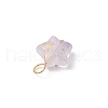 Frosted Acrylic Charms PALLOY-JF03325-01-5