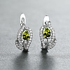 Brass Micro Pave Cubic Zirconia Hoop Earrings WG7D53C-04-1