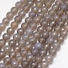 Natural Grey Agate Beads Strands G-G580-10mm-08-1