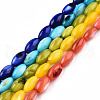 Natural Freshwater Shell Beads Strands SHEL-N026-212-1