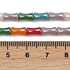 Handmade Lampwork Beads Strands LAMP-S070-07A-4