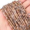 Natural Multi-Moonstone Beads Strands G-L587-C05-02-2