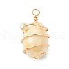 Natural Cowrie Shell Copper Wire Wrapped Pendants PALLOY-TA00196-01-3
