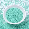 MIYUKI Delica Beads SEED-J020-DB2122-2