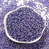 Glass Seed Beads SEED-S042-04A-08-2