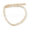 Handmade Lampwork Beads Strands LAMP-Q037-02B-16-2